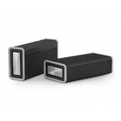 Boxe Creative iRoar Go 51MF8225AA000