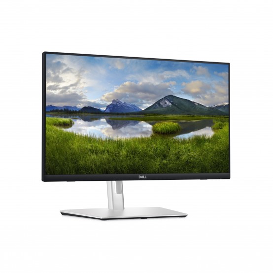 Monitor Dell P2424HT 210-BHSK