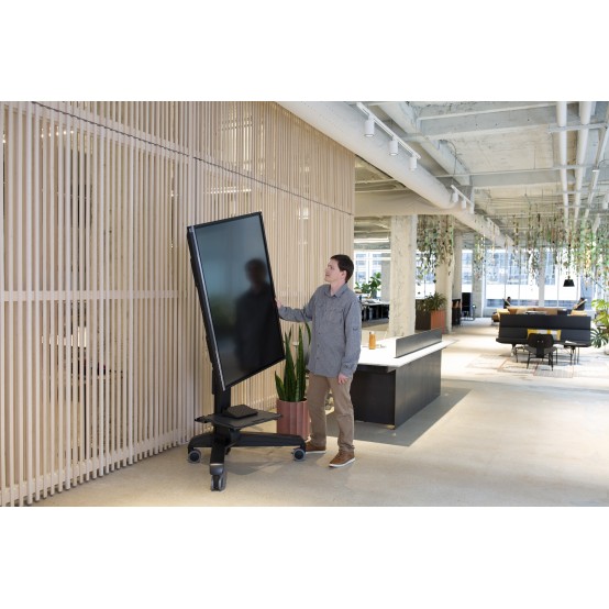 Suport Ergotron  24-191-085