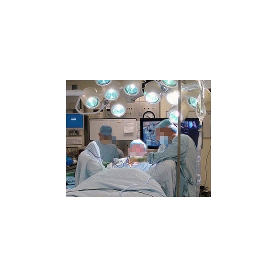Suport Ergotron  45-296-026
