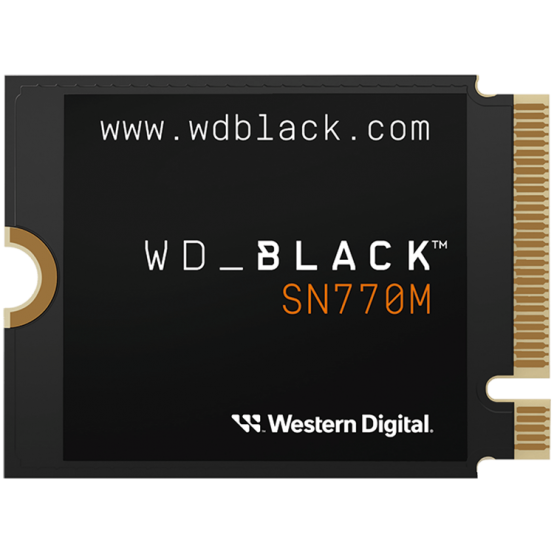 SSD Western Digital SN770M WDS100T3X0G