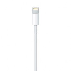 Cablu Apple Lightning to USB Cable (0.5 m) ME291ZM/A 2