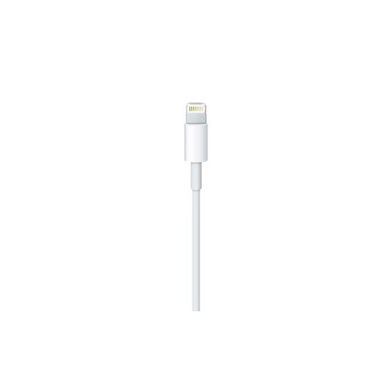 Cablu Apple Lightning to USB Cable (0.5 m) ME291ZM/A