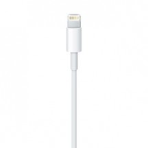 Cablu Apple Lightning to USB Cable (0.5 m) ME291ZM/A