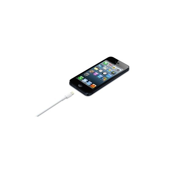 Cablu Apple Lightning to USB Cable (0.5 m) ME291ZM/A
