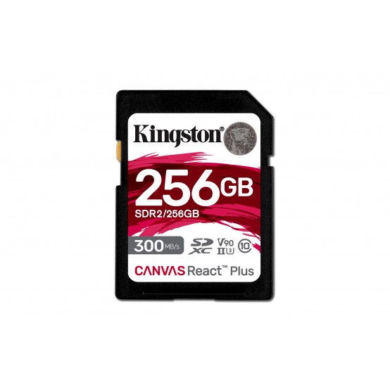 Card memorie Kingston  SDR2/256GB