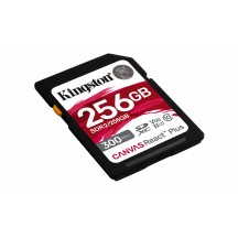 Card memorie Kingston  SDR2/256GB