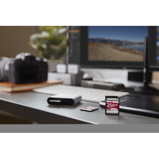 Card memorie Kingston  SDR2/256GB