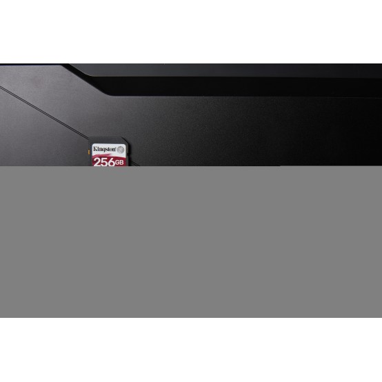 Card memorie Kingston  SDR2/256GB