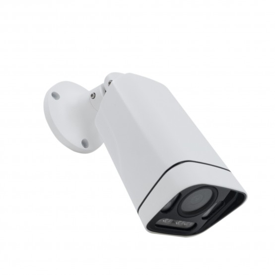 Camera de supraveghere PNI  PNI-IP7729-S