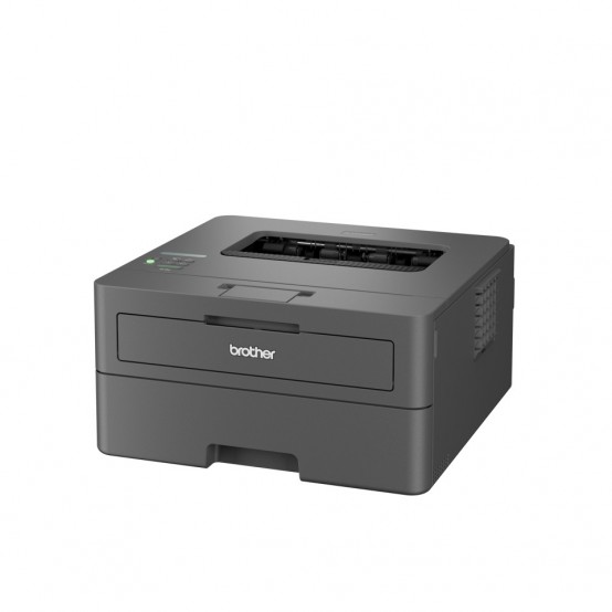Imprimanta Brother HL-L2447dw HLL2447DWRE1