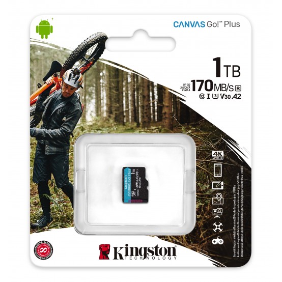 Card memorie Kingston Canvas Go Plus SDCG3/1TBSP