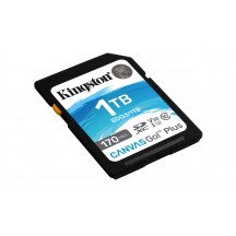 Card memorie Kingston Canvas Go Plus SDG3/1TB