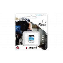 Card memorie Kingston Canvas Go Plus SDG3/1TB