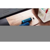 Memorie flash USB Kingston IronKey Keypad 200C IKKP200C/256GB
