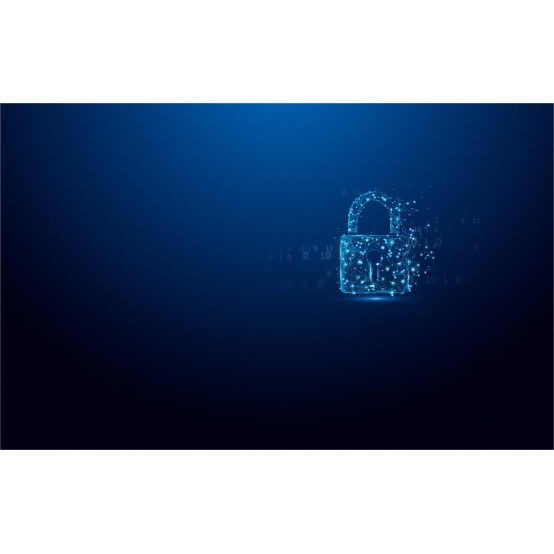 Memorie flash USB Kingston IronKey Vault Privacy 50 IKVP50/512GB