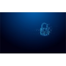 Memorie flash USB Kingston IronKey Vault Privacy 50 IKVP50/512GB