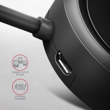 Hub Axagon  HUE-P1C