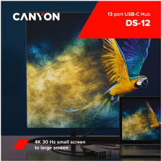 Hub Canyon  CNS-TDS12 2