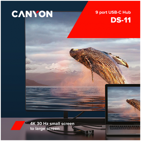 Hub Canyon  CNS-TDS11