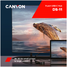 Hub Canyon  CNS-TDS11