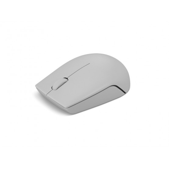 Mouse Lenovo 300 Wireless Compact Mouse (Arctic Grey) GY51L15678