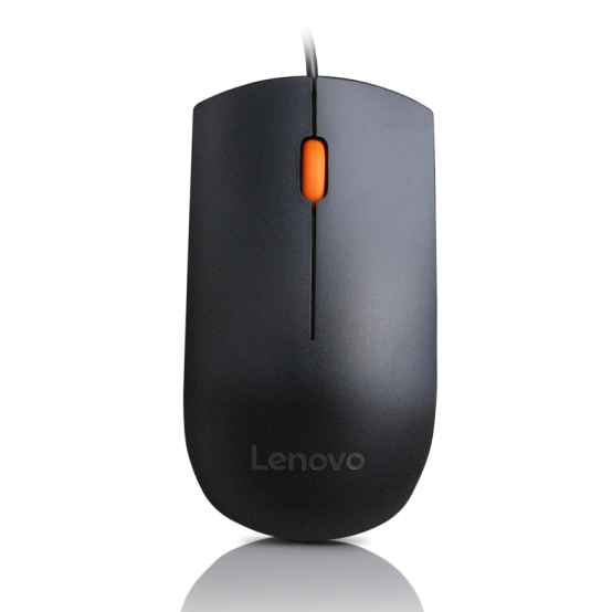 Tastatura Lenovo 300 USB Combo Keyboard & Mouse GX30M39606