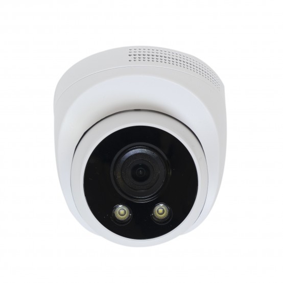Camera de supraveghere PNI  PNI-IP303POE-S