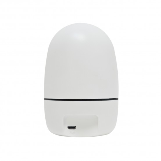 Camera de supraveghere PNI  PNI-IP7717-S