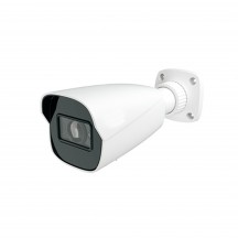 Camera de supraveghere PNI  PNI-IP9482-S