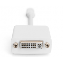 Adaptor Digitus  AK-340406-001-W