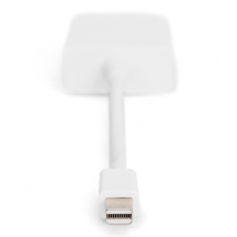 Adaptor Digitus  AK-340406-001-W