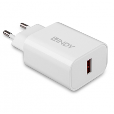 Alimentator Lindy  LY-73412 2