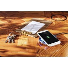 Alimentator Trust  21310