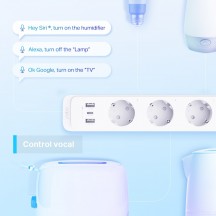 Prelungitor TP-Link  Tapo P300