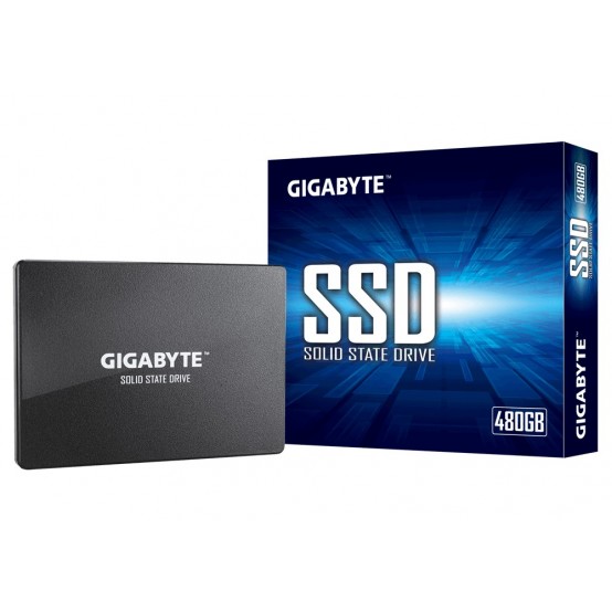 SSD GigaByte GP-GSTFS31480GNTD