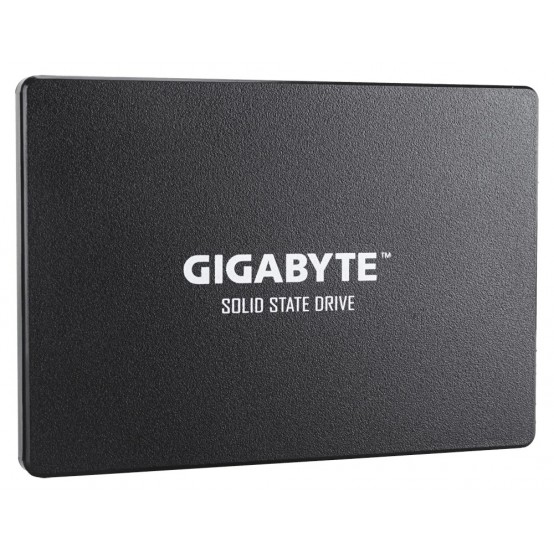 SSD GigaByte GP-GSTFS31480GNTD