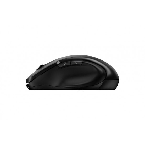 Mouse Genius Ergo NX-8200S 31030029400