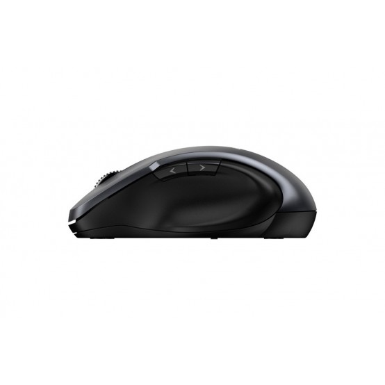 Mouse Genius Ergo NX-8200S 31030029401