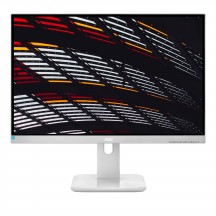 Monitor LCD AOC X24P1 X24P1/GR