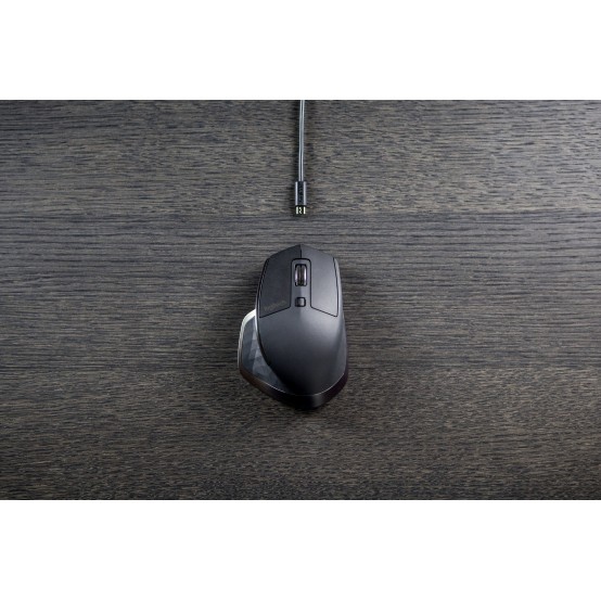 Mouse Logitech MX Master 910-004362
