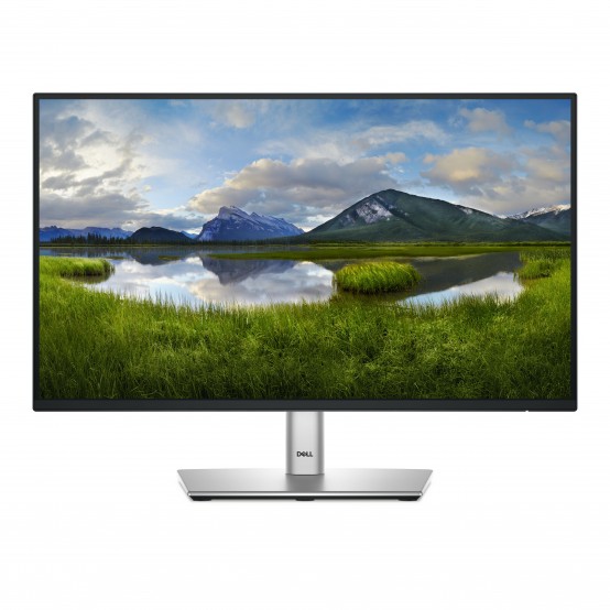 Monitor Dell P2225H 210-BMHD