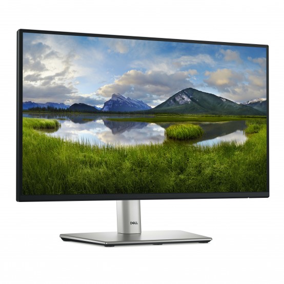 Monitor Dell P2225H 210-BMHD
