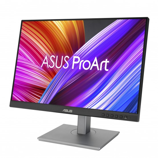 Monitor ASUS  PA248CNV