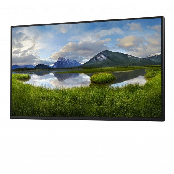 Monitor Dell  DELL-P2425HWO