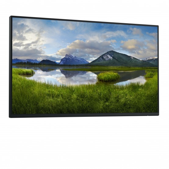 Monitor Dell  DELL-P2425HWO