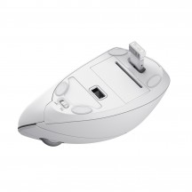 Mouse Trust Verto Ergonomic Wireless Mouse - White 25132