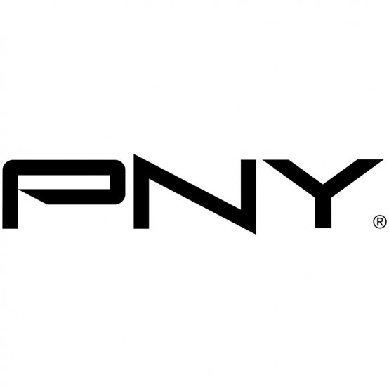 Adaptor PNY  QSP-DPHDMIV2