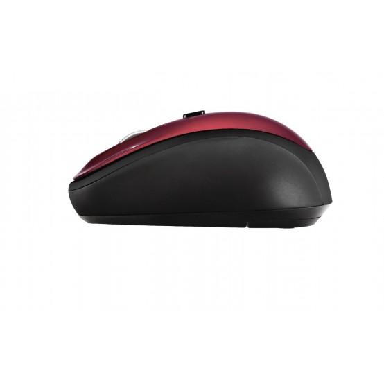 Mouse Trust Yvi TR-19522