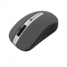 Mouse Tellur  TLL491081